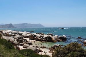 Pinguine Simonstown Boulders Beach Südafrika Süchtig nach Lifestyleblog Linz