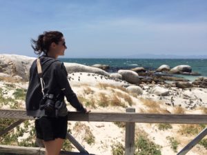 Pinguine Simonstown Boulders Beach Südafrika Süchtig nach Lifestyleblog Linz