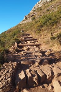 Lionshead Südafrika Süchtig nach Lifestyleblog Linz