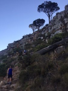 Lionshead Südafrika Süchtig nach Lifestyleblog Linz