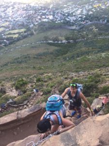 Lionshead Südafrika Süchtig nach Lifestyleblog Linz