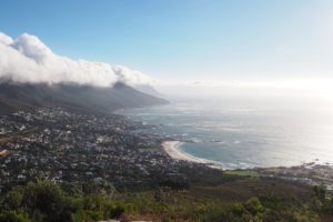 Lionshead Südafrika Süchtig nach Lifestyleblog Linz