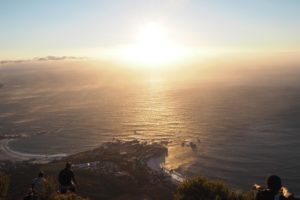 Lionshead Südafrika Süchtig nach Lifestyleblog Linz