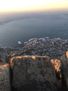 Lionshead Südafrika Süchtig nach Lifestyleblog Linz