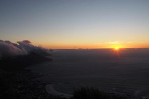 Lionshead Südafrika Süchtig nach Lifestyleblog Linz