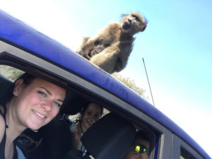 Kap der Guten Hoffnung Südafrika Süchtig nach Lifestyleblog Linz